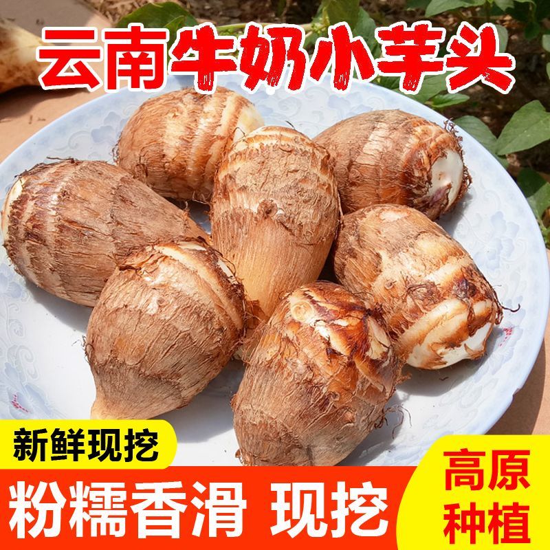 云南新鲜现挖牛奶小芋头芋艿软糯香甜当季蔬菜