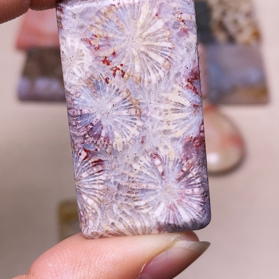 蒜***机硅化玉合金珊瑚玉