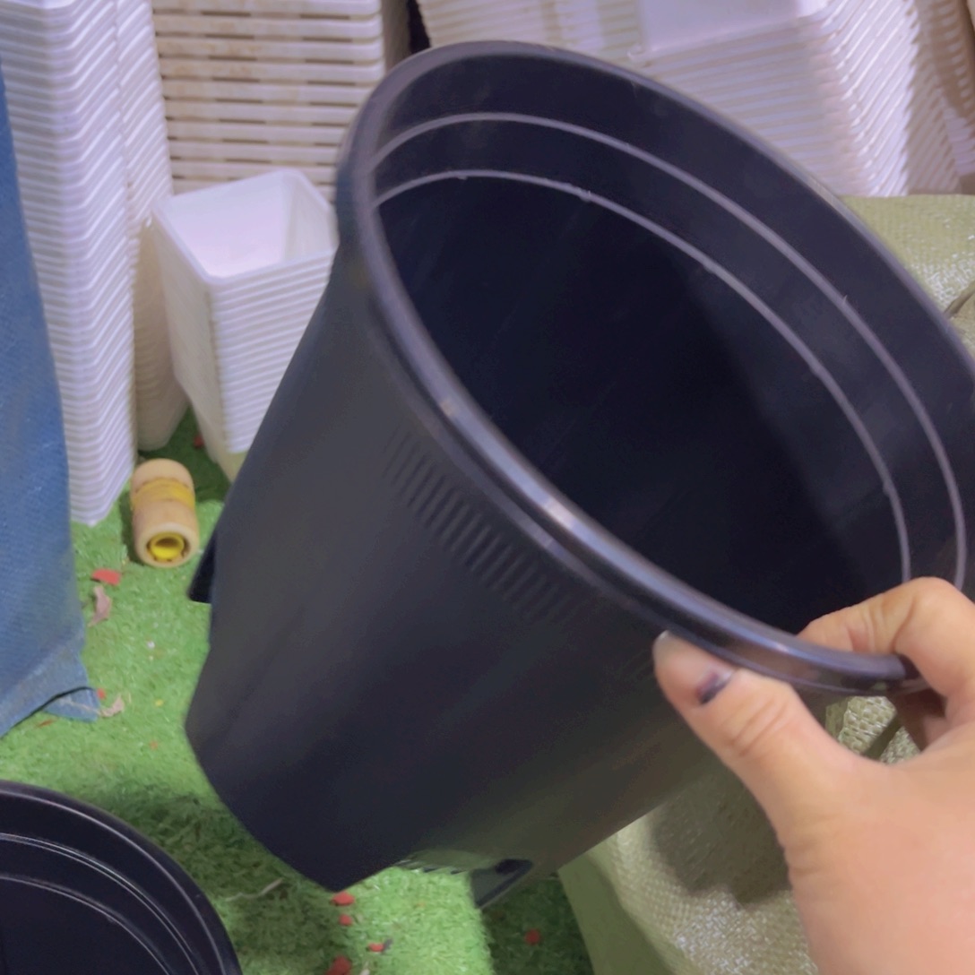 塑料22回复黑加仑盆10个