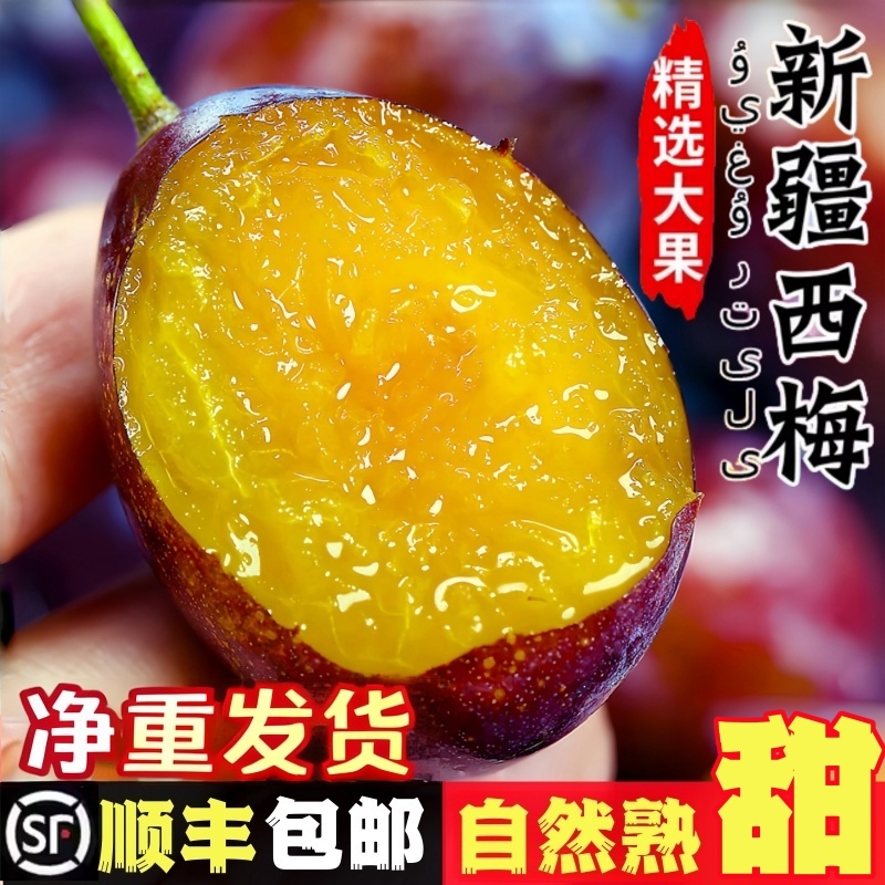 【顺丰包邮】正宗新疆西梅当季新鲜水果现摘喀什蓝蜜西梅新鲜水果