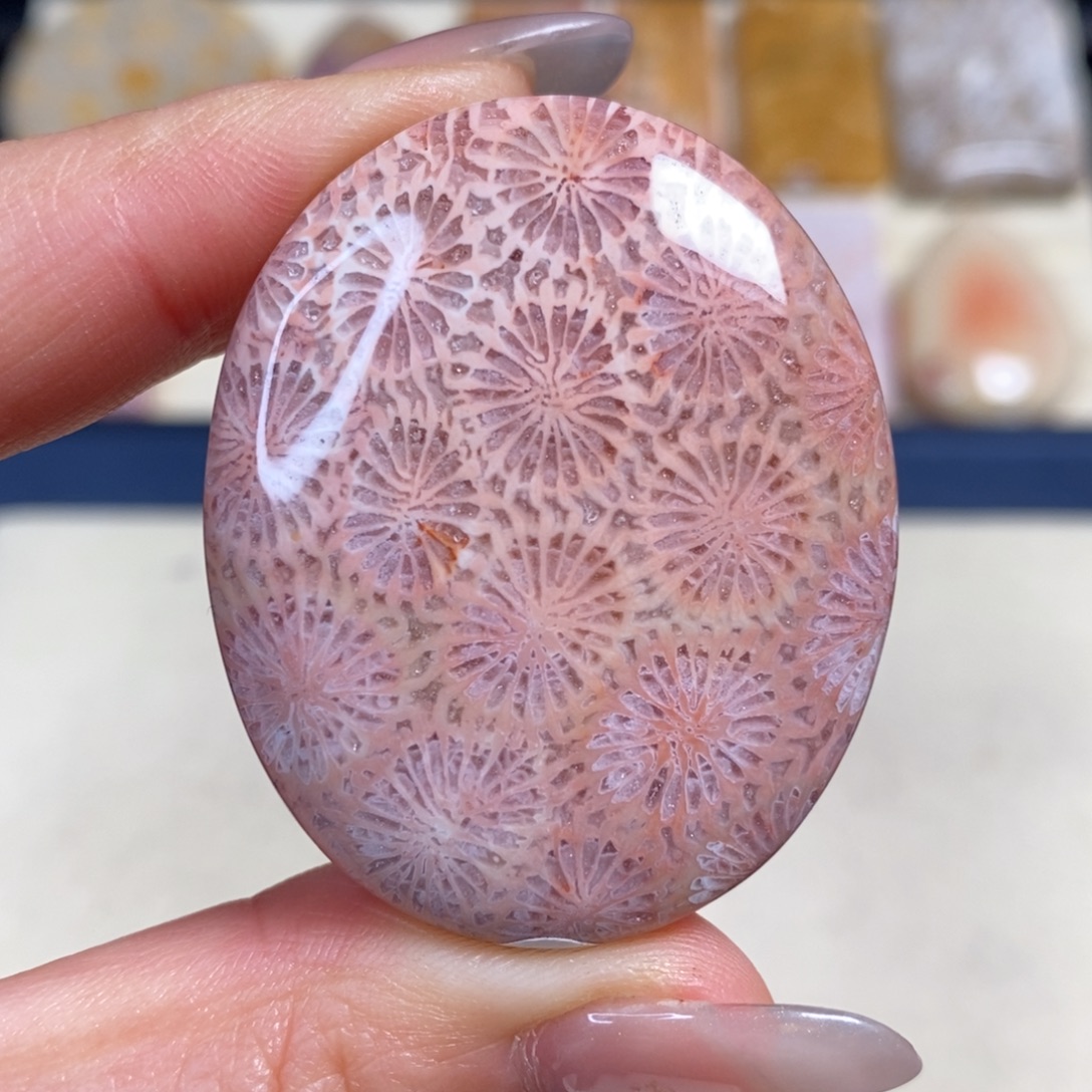 硅化玉未镶嵌吊坠