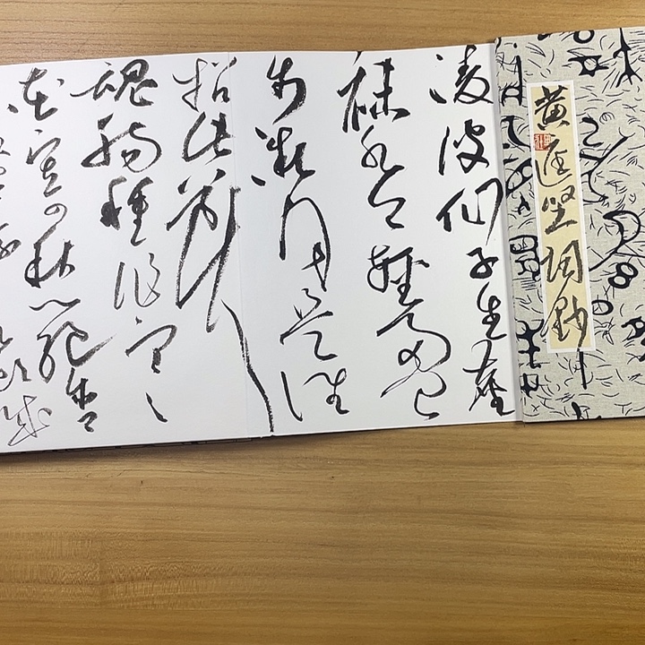 书法中书协会员作品