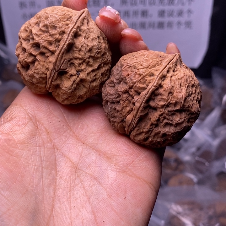 核桃云南野生铁核桃192号43mm