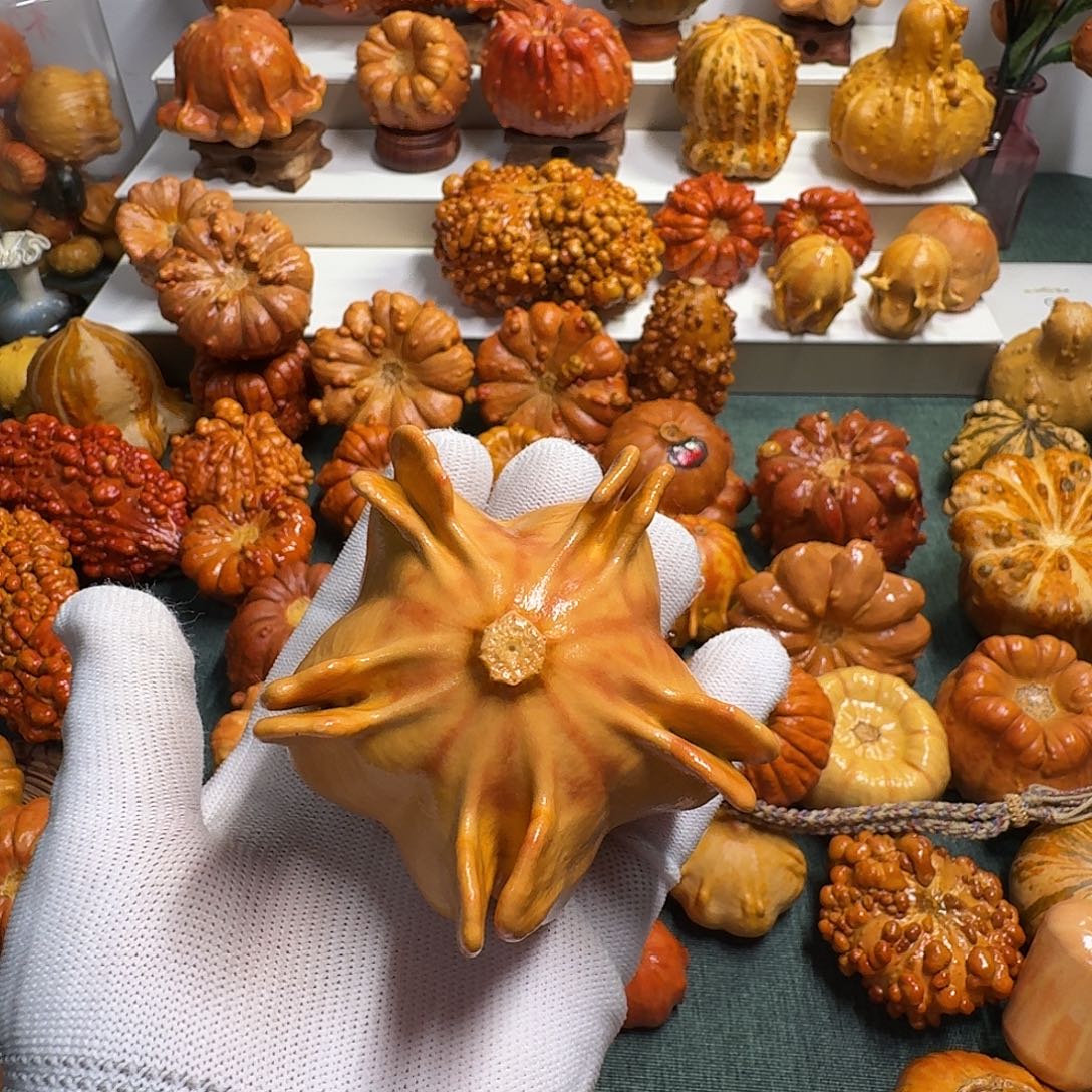 梦***墨西哥七彩葫芦飞翅