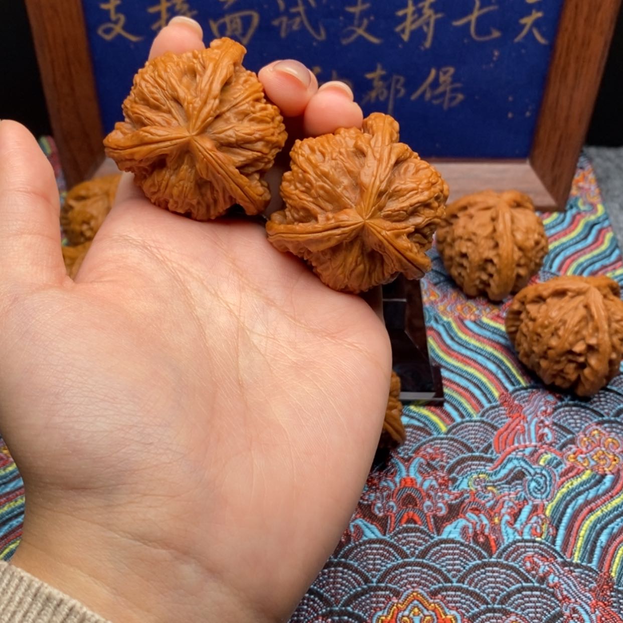 【闪购商品】徐****配白狮子1111111