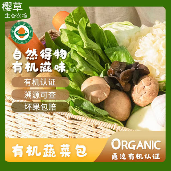 【阿斌生鲜专属】有机蔬菜套餐顺丰包邮现摘现发当季新鲜蔬菜有机