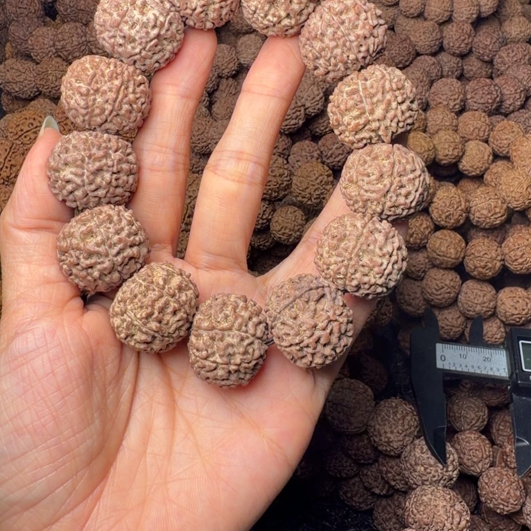 金刚菩提手串8瓣卡24尺，47号