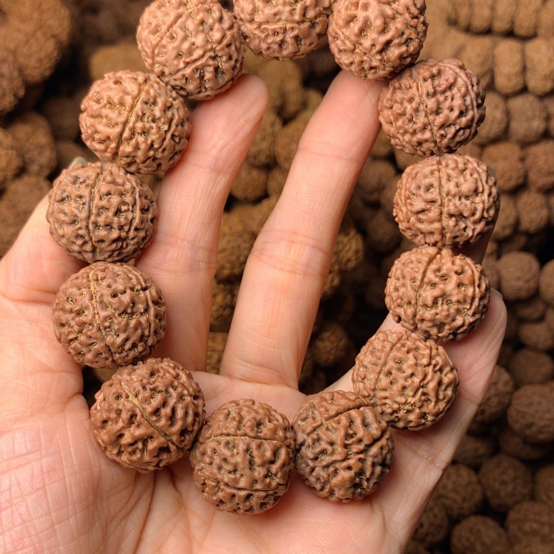 木7瓣爆肉卡21尺寸，46号