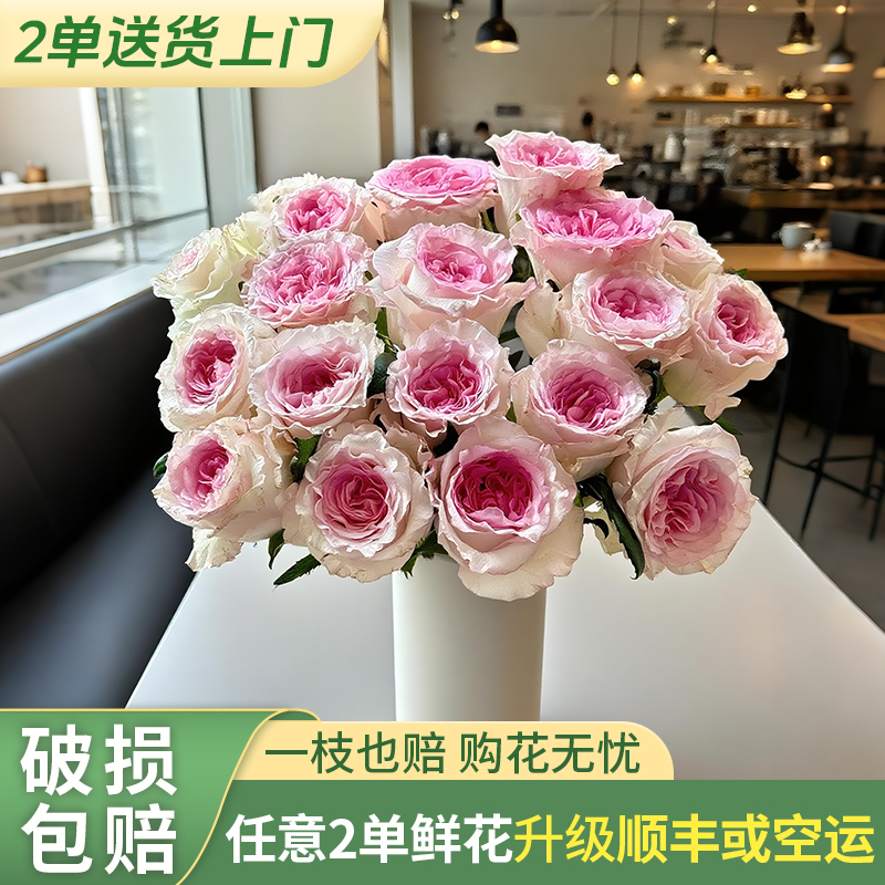 【云上花卉】折射+洛神任意2单鲜花包邮发货后不支持退款