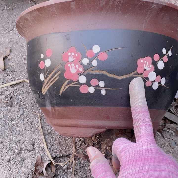 紫砂t004中倨傲花片