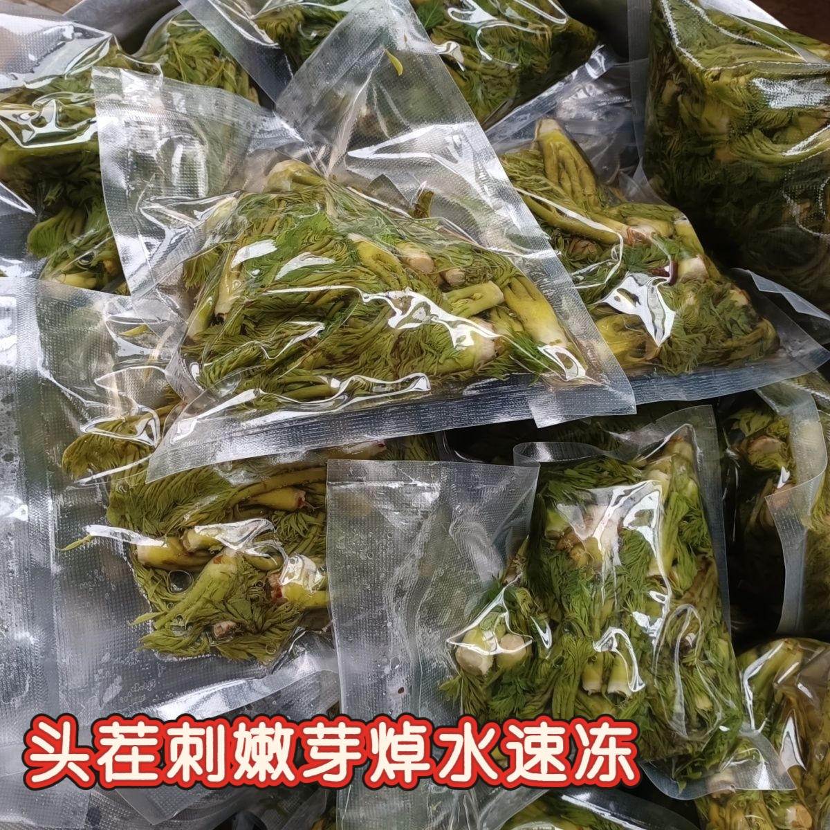 25年大山里野生刺嫩芽刺老芽刺龙芽焯水速冻顺丰包邮