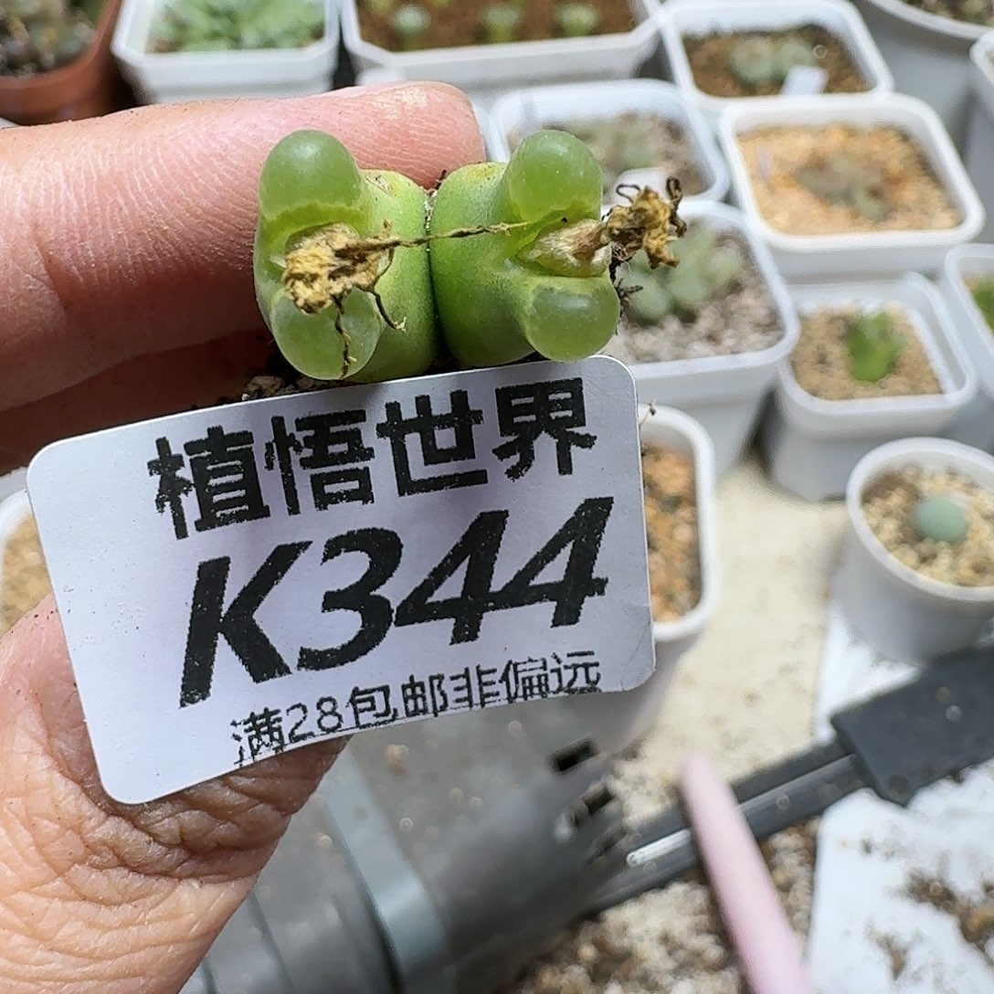 的W的人生到底的人啊fg