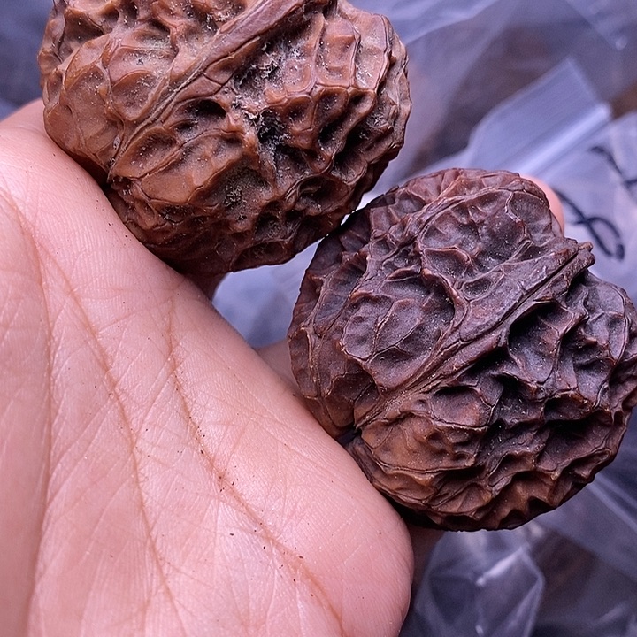 文玩核桃把件   141