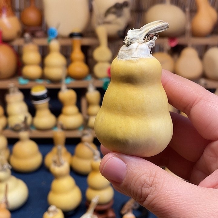 M***O111111111111111111111