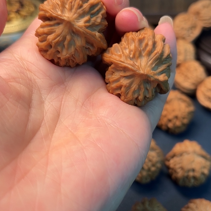 鸳***郭木桃花等植物为主要植物