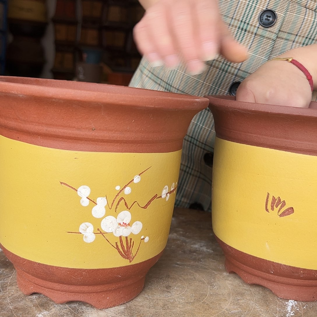 19+19黄点菜金钟点菜