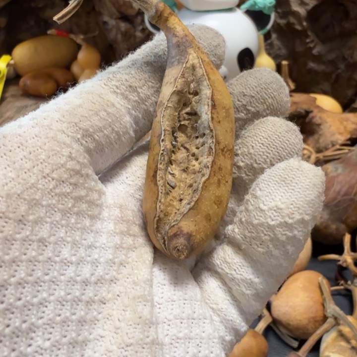 拾***月6666666667777778888