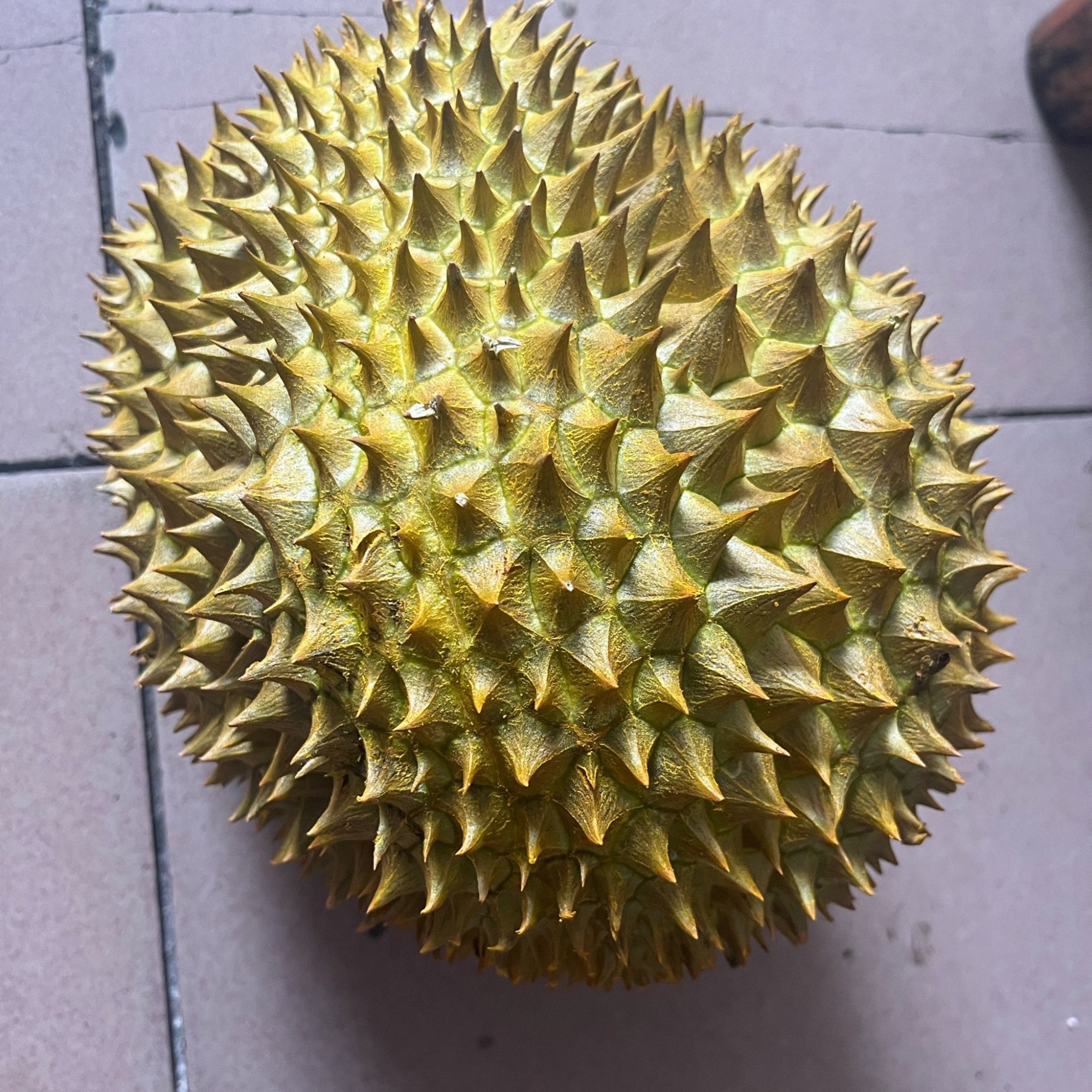 泰国金枕鲜榴莲核小3.5-7斤榴莲新鲜榴莲榴莲同城送金枕泰国东部金枕泰国东部