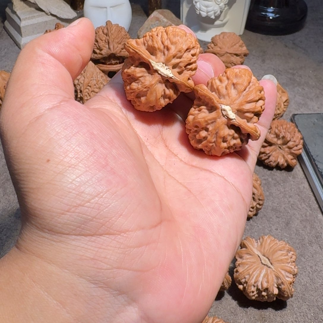 手串/手链核桃37全品红莲