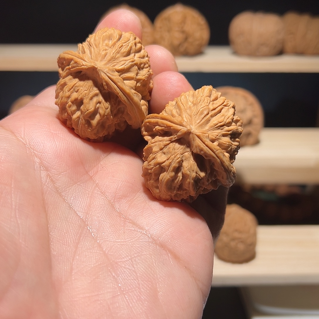 文玩核桃把件白狮子37尺，微龟背，竞拍品无售后