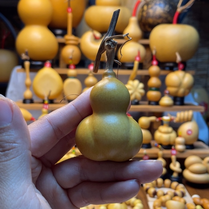 赵***子天然葫芦自然生长