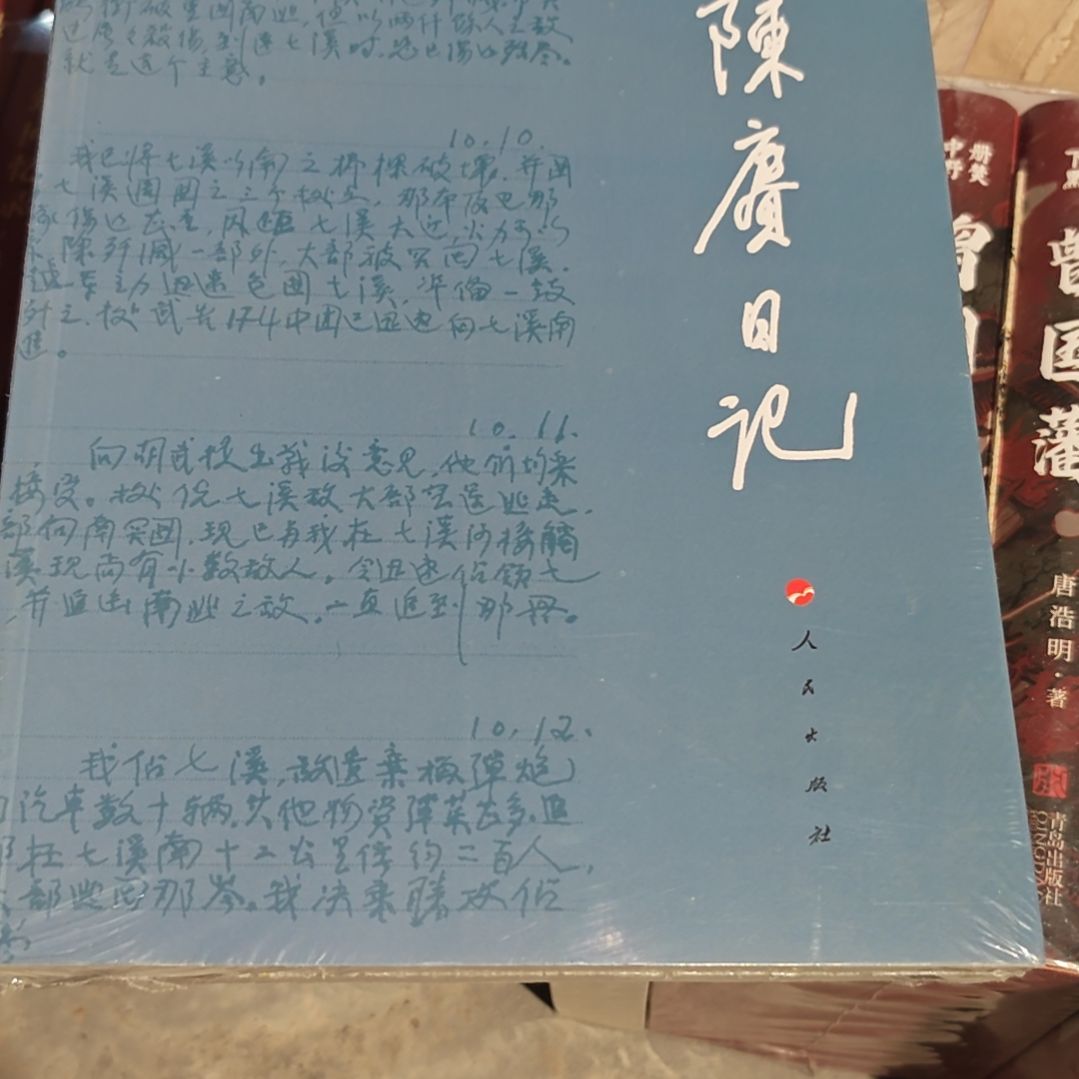 陈什么什么日记平装库存书