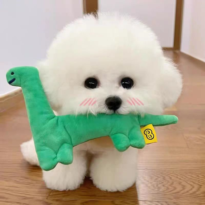 【咪哆家-次日达】韩版比熊小体宠物活体狗萌宠小狗犬小狗小狗