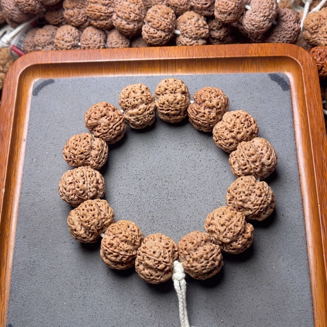 菩提籽类8号金刚菩提梅花双龙24