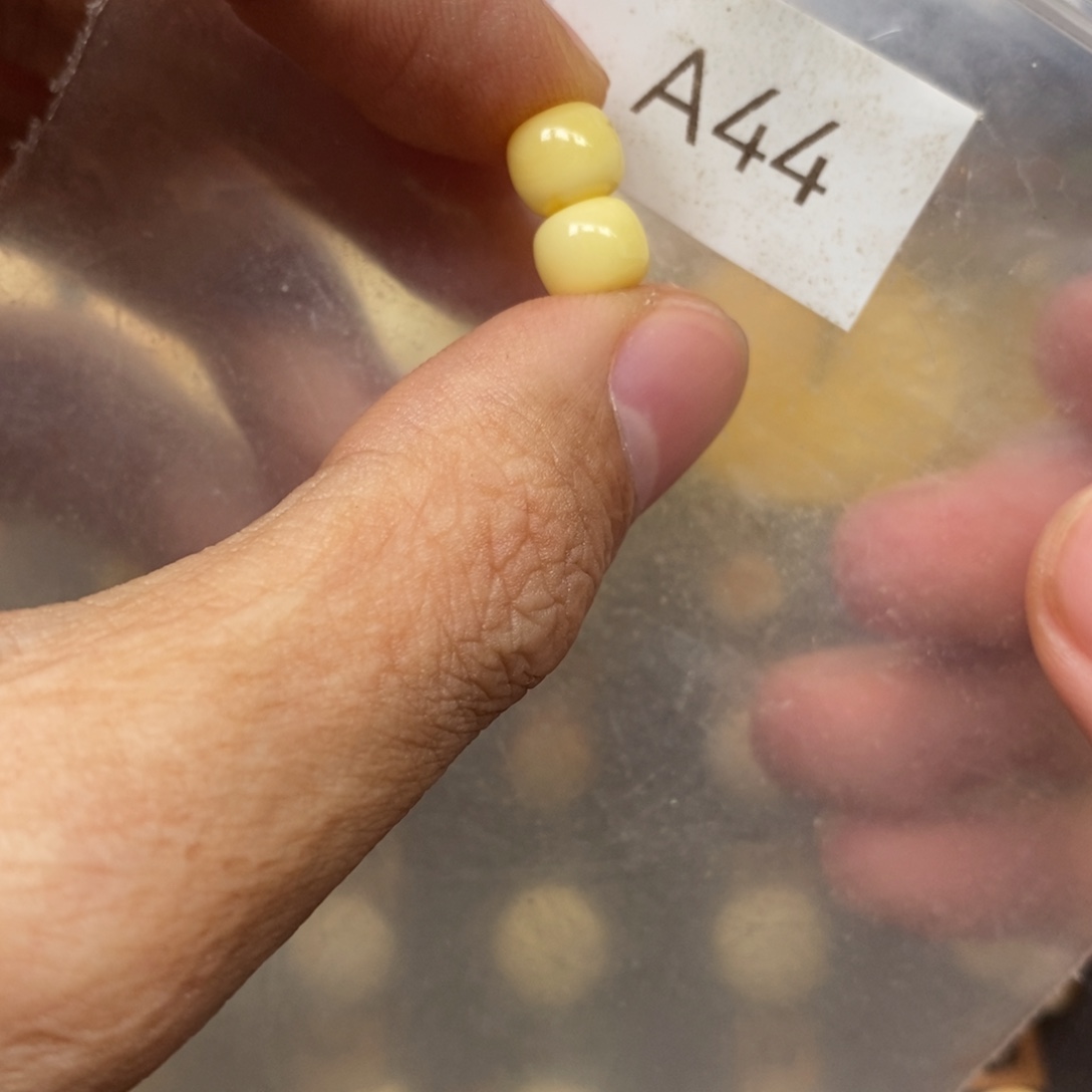 一***！蜜蜡未镶嵌裸石好