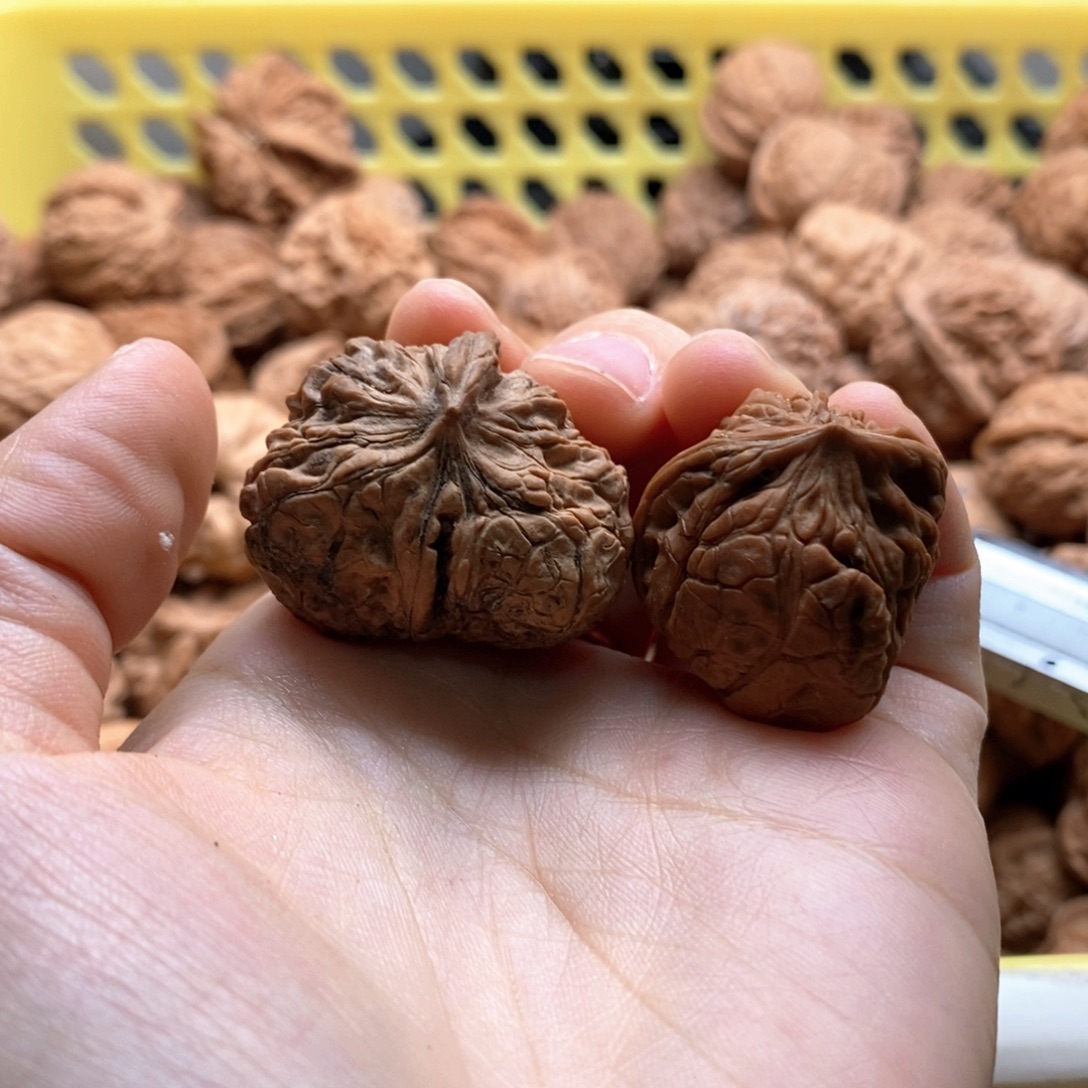 h***e核桃定制商品不退不换