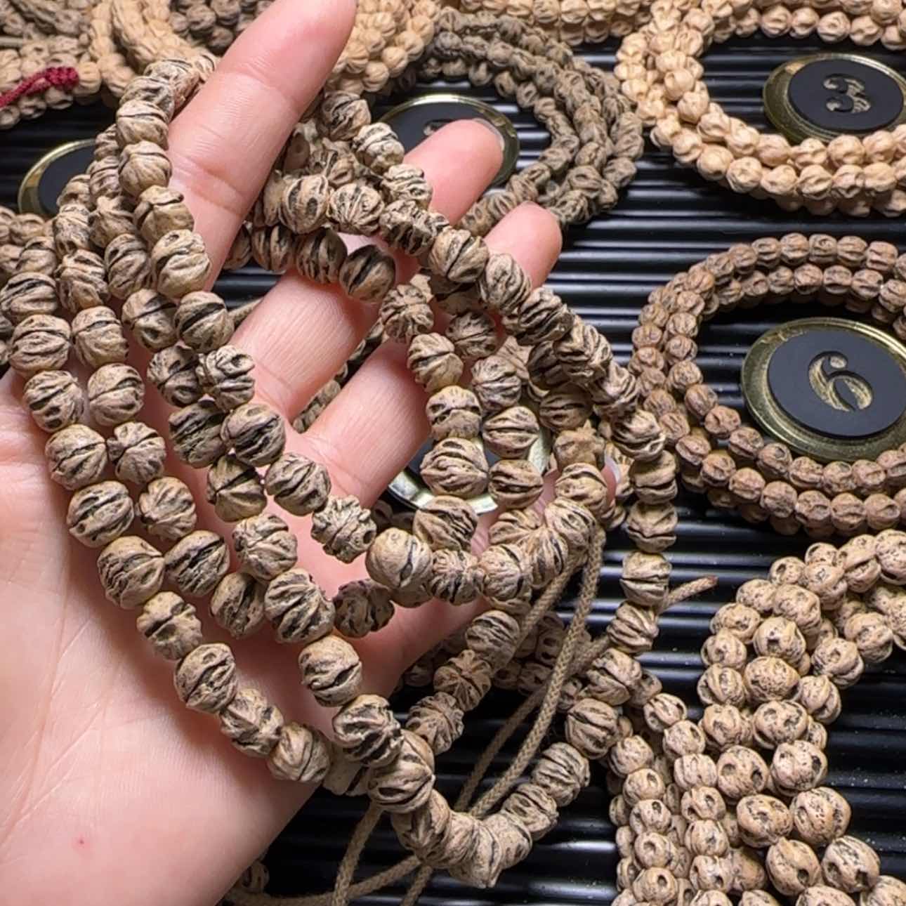 【闪购商品】柏香籽/百香籽吊坠树***g