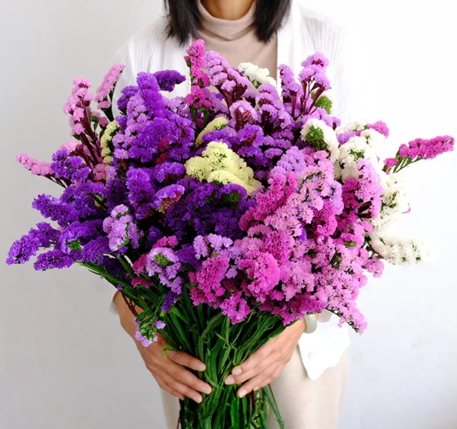 【新疆花之溪】勿忘我1把  （可做干花）