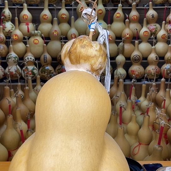 直播间专拍大葫芦