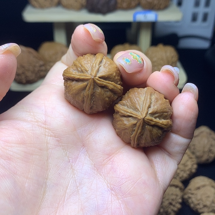 四棱111111111111111111