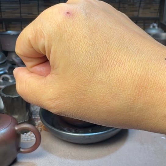 *****壶庄诚柴烧坭兴陶窑