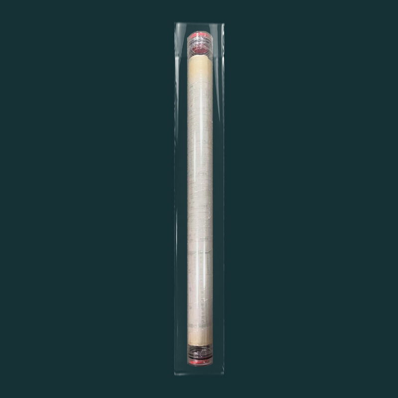封签大连体（单版） 票证