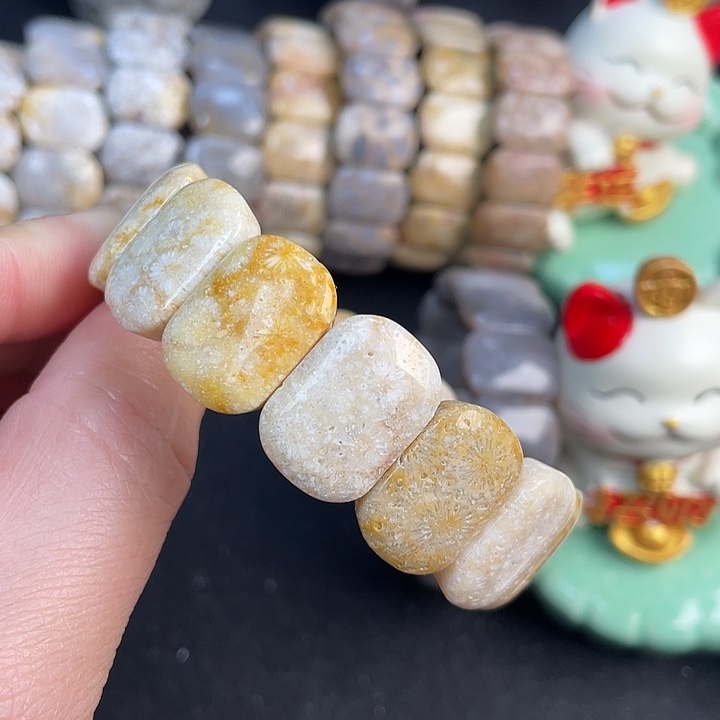 硅化珊瑚（珊瑚玉）未镶嵌手镯