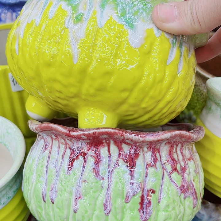 多肉植物陶瓷花盆