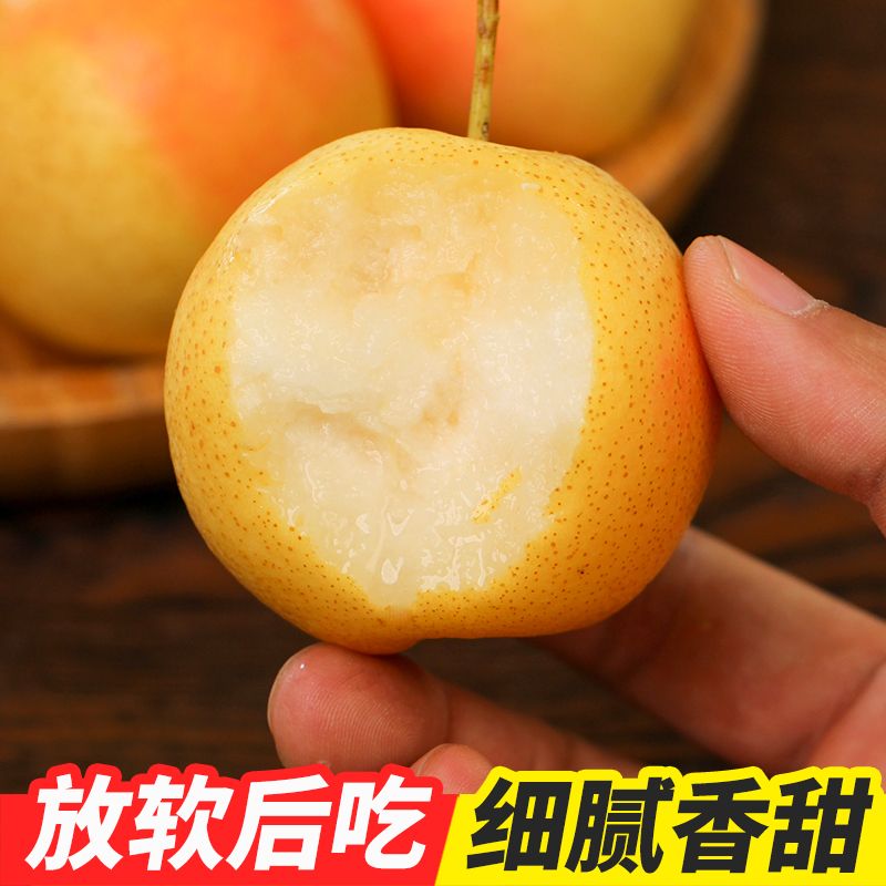 鞍山南果梨新鲜应季水果东北特产香水梨酸甜多汁整箱包邮