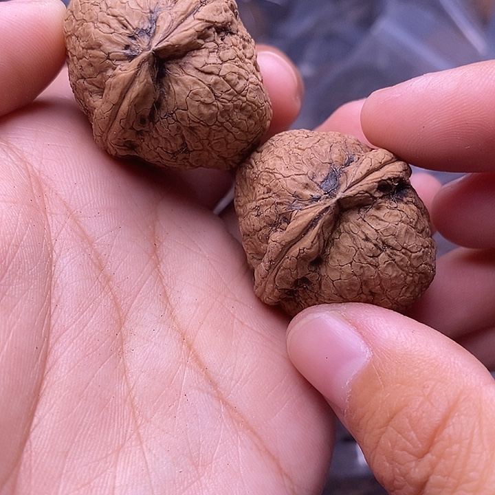 文玩核桃把件   5