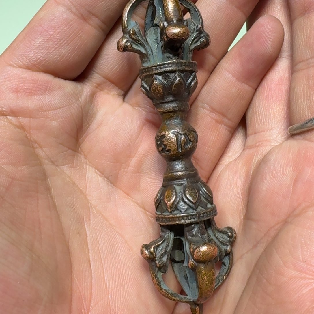 五股杵喜欢带回家