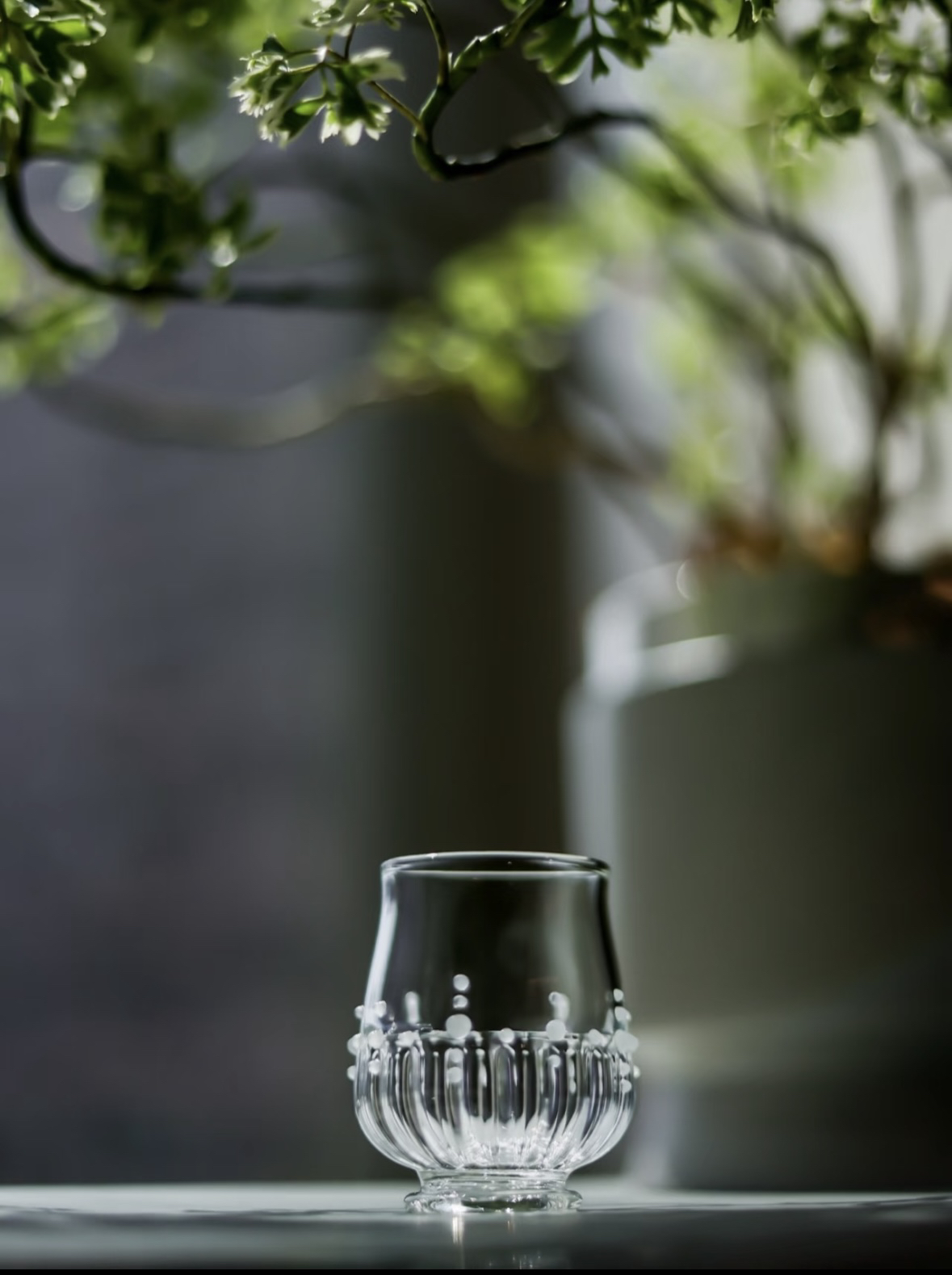 十卿——朝露主人杯