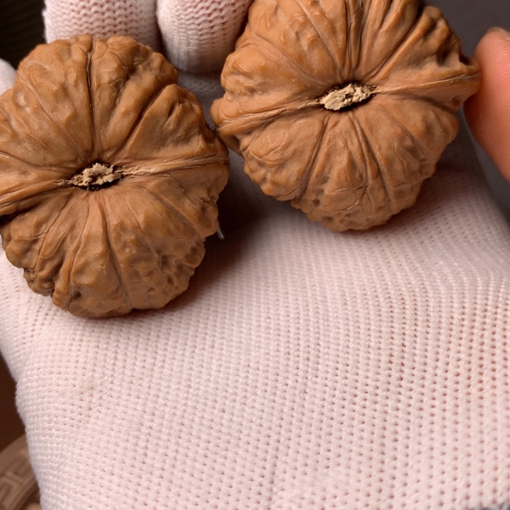 零***睡南瓜22件小葱姜葱
