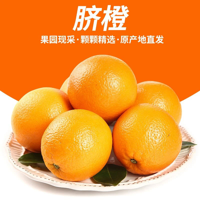 【次日达1】新鲜脐橙中大果多汁农家果园现摘4.5-5斤
