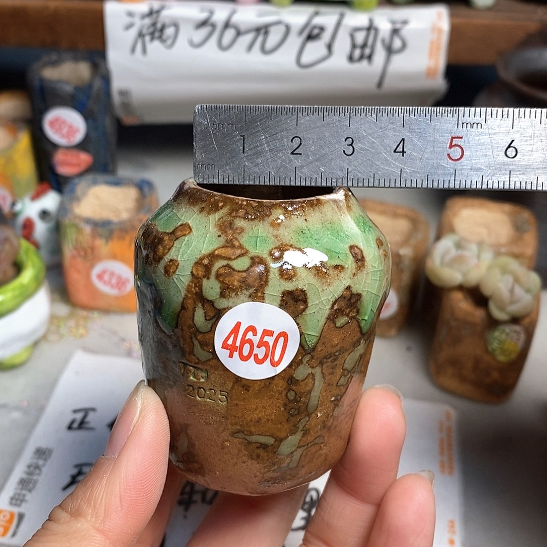 红陶拍5送一个小