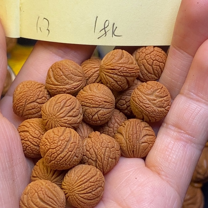 吊坠桃核秦岭龙纹桃核13尺寸