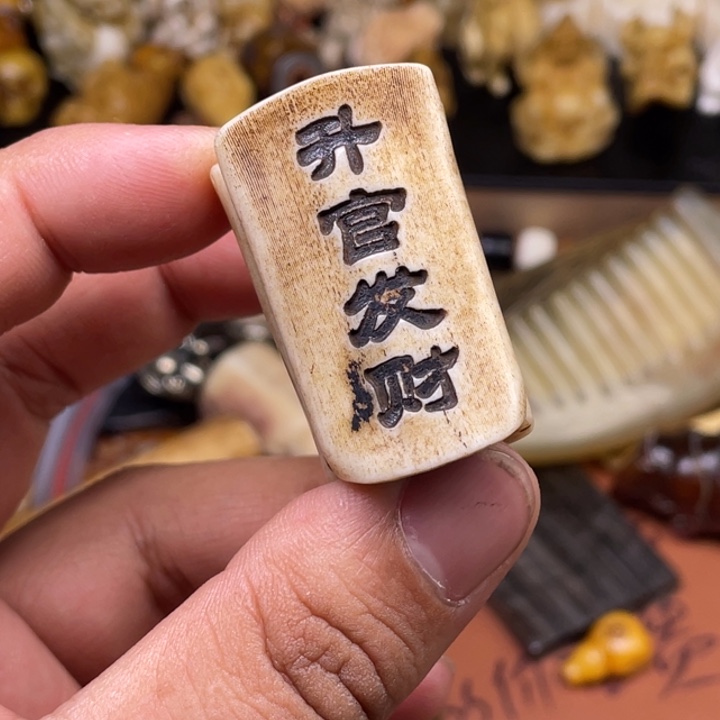 驼骨摆件人工养殖