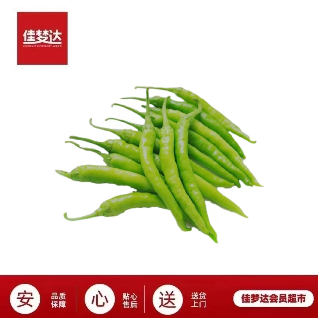 姜大光杭椒       
