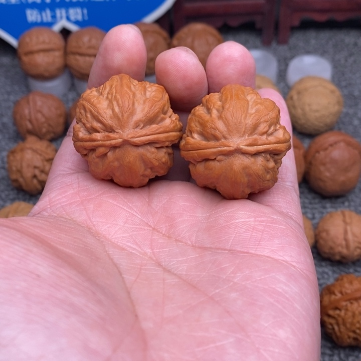 文玩核桃把件卧龙粗筋