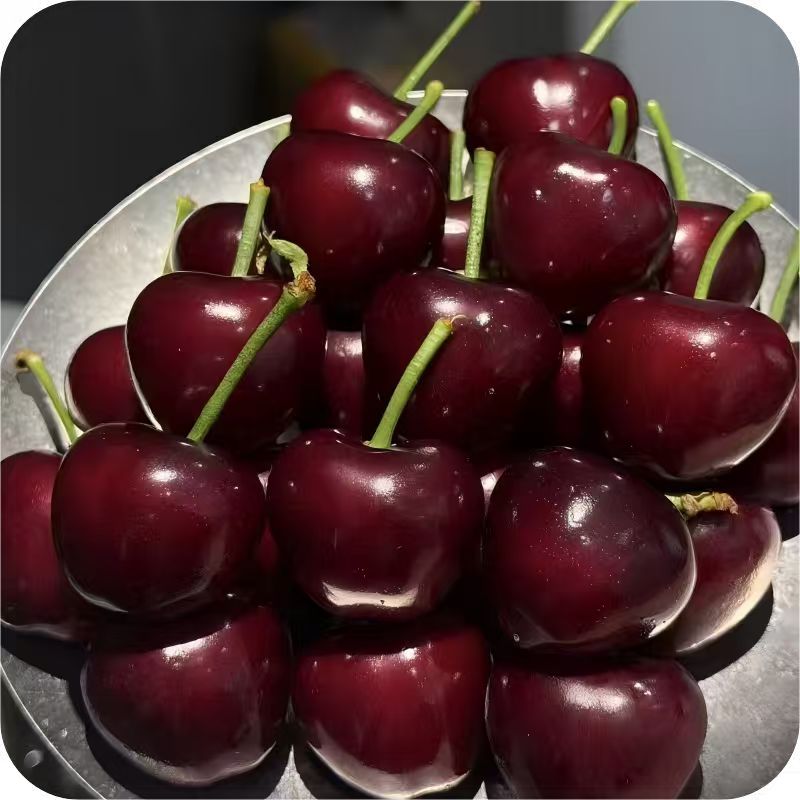 3JD-4JD原箱5斤智利空运车厘子脆甜多汁现发内附果径卡（邮政）